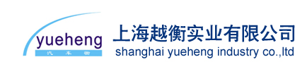上海电子汽车衡