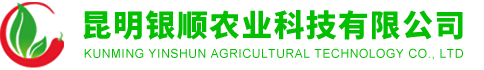 云南红辣椒